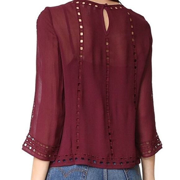 Joie Gaiane sheer chiffon embroidered top in Raisin - Picture 6 of 13